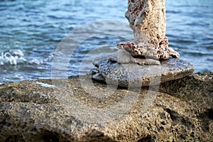 Close-up shot of balanced rocks near the water