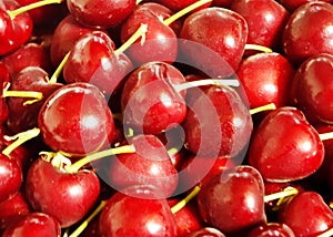 Close-up shot of the big and red cherries.