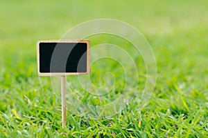 Close up shot blank wooden sign on green grass shallow depth of