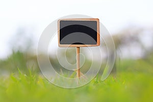 Close up shot blank wooden sign on green grass shallow depth of