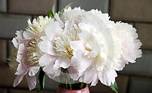 Close up shot of a bouquet of white peonies in a vase.