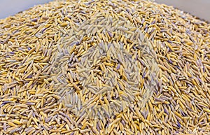 close up shot of brown raw rice texture .
