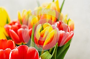 Close-up shot of a bunch of red and yellow tulips