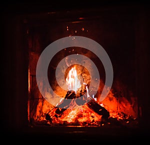 Close up shot of burning firewood in the fireplace