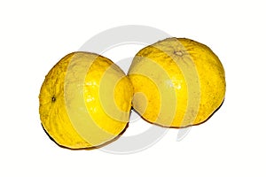 Close up shot of citron fruit isolated on white.