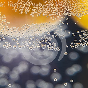 A close-up shot of citrus in a glass of water with lots of bubbles beautiful background for greeting cards and advertising materia