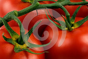 Close up shot of cluster tomatoes