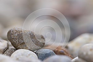 Close up shot of colorful rocks at the beach