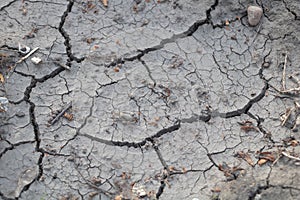 Close up shot of Cracked ground texture - summer drought concept