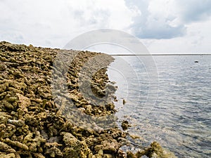 Close up shot of dead coral fragments lying on a beach on the re