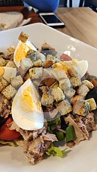Close-up shot of delicious tuna salad served with fresh vegetable, tomatoe, olive and boiled eggs