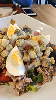 Close-up shot of delicious tuna salad served with fresh vegetable, tomatoe, olive and boiled eggs