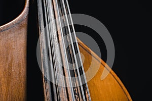 close-up shot of double bass