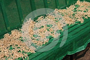 Close up shot of drying vegetable on a bench