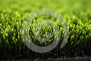 close-up shot of eco-friendly turf infill