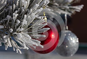 Close up shot of a fir twig covered with snow and shiny red and glittering white Christmas balls hanging off a Christmas fir tree