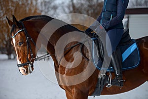 Close-up of the shot fragment. A girl rider sits in the saddle and holds the reins of a horse with her hands