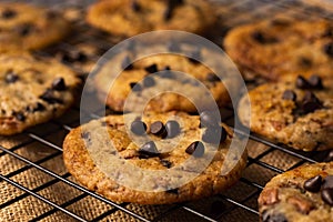 Close up shot of freshly baked chocolate chip cookies