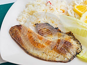 Close up shot of fried fish steak rice photo