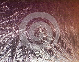 Close up shot of the frosted window. Background