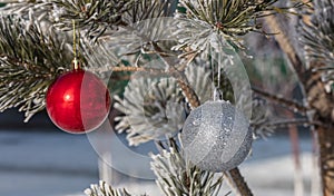 Close up shot of a glittering white and blurred shiny red Christmas balls hanging off a Christmas fir tree outside, all partially