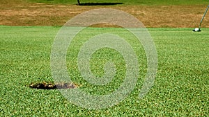 Close up shot of golf putt on beautiful golf course