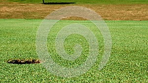 Close up shot of golf putt on beautiful golf course