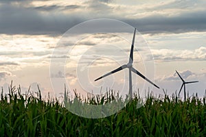 Close-up shot of the grass with the background of windmills in the field