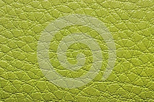 Close up of green leather texture photo