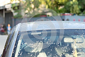 Close up shot of a grey car  getting clean in a garage