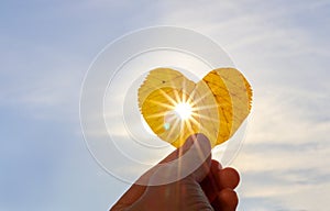 Close up shot of hand holding yellow leaf of heart shape with sun rays shining through it