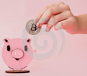 Close up shot hands of woman putting gold bitcoin to pink piggy bank, With copy space for banner design, Shallow depth of field,