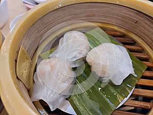 Close-up shot of the  Har gow is a traditional Cantonese dumpling served in dim sum.