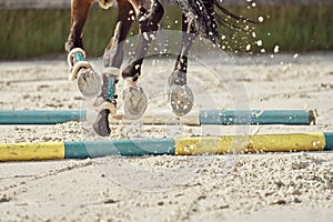 Close-up shot of horse hooves at a competition