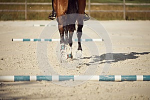 Close-up shot of horse hooves at a competition