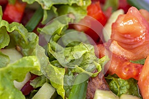 Close-up shot of juicy assorted salad consisting of green salad leaves, tomato, paprika and cucumber