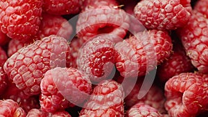 Close-up shot: juicy red raspberries, spin.