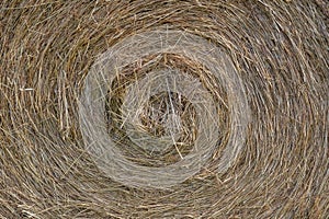 A close-up shot of a large bail