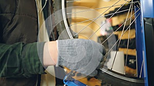 Close-up shot of male hand in greasy glove rotating broken bicycle wheel and straightening bent spokes with tools. Work