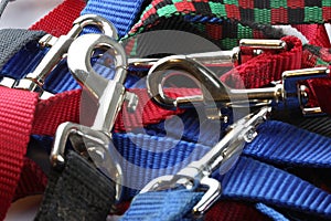 A close up shot of many dog leashes.