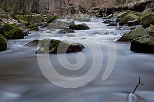 Close-up shot of mossy rocks in a foamy river in a forest