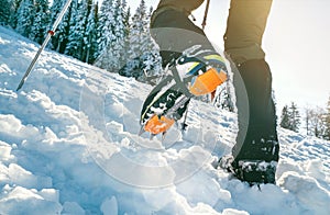 Close up shot of mountain boots with crampons and snow gaiters with backlight sun beams and snowy spruces on background . High