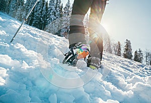 Close up shot of mountain boots with crampons and snow gaiters with backlight sun beams and snowy spruces on background . High