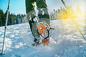 Close up shot of mountain boots with crampons and snow gaiters with backlight sunbeams and snowy spruces on the background . High