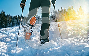 Close up shot of mountain boots with crampons and snow gaiters with backlight sunbeams and snowy spruces on the background . High