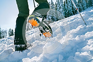 Close up shot of mountain boots with crampons and snow gaiters with snowy spruces on the background . High mountaineer pounding