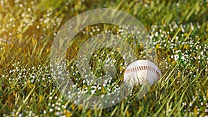 Close up shot of a new baseball lying in the green grass in the afternoon.