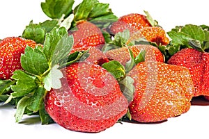 Close up Shot of Nine Fresh Organic Red Strawberries