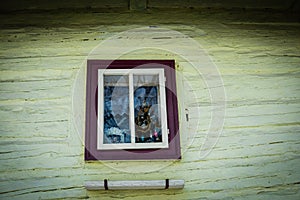 Close up shot of old wooden hut window.Vlkolinec,traditional settlement village in the mountains.