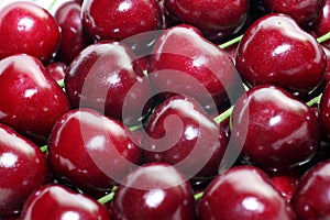 Close up shot of organic red cherries. photo